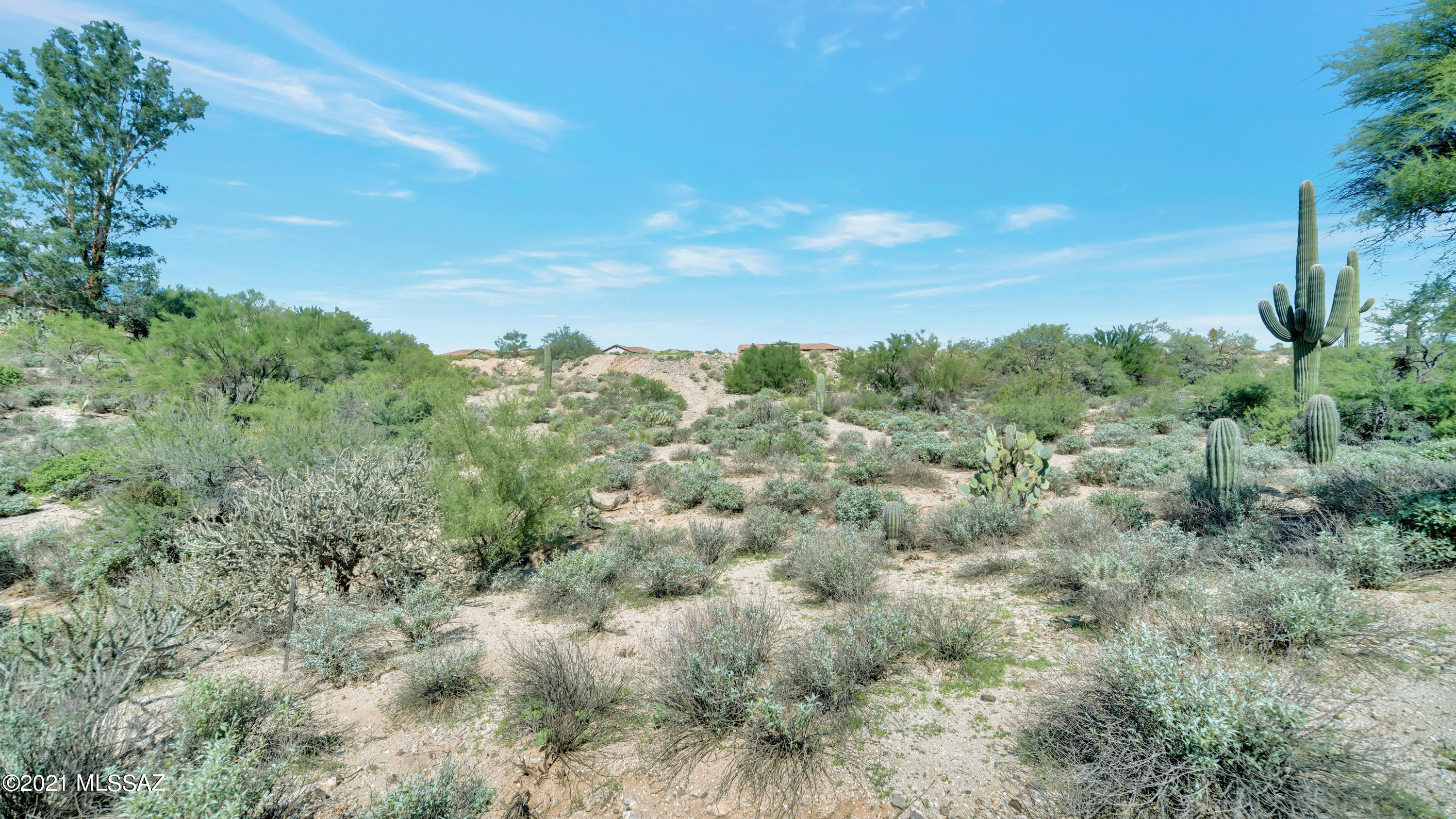 8242 North Shannon Road, Unit 1207 Tucson, AZ 85742 - Photo 8 of 28