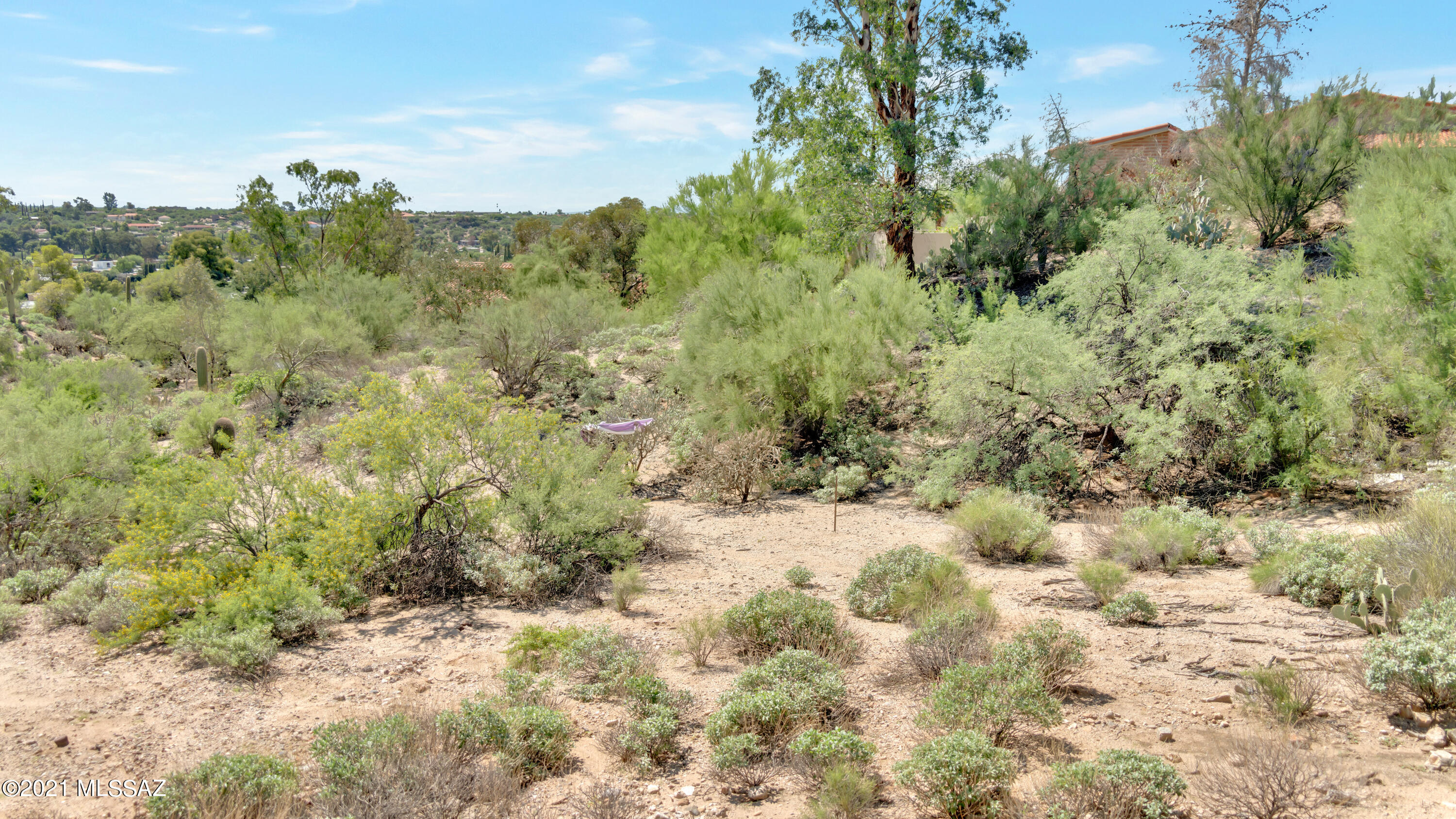 8242 North Shannon Road, Unit 1207 Tucson, AZ 85742 - Photo 9 of 28