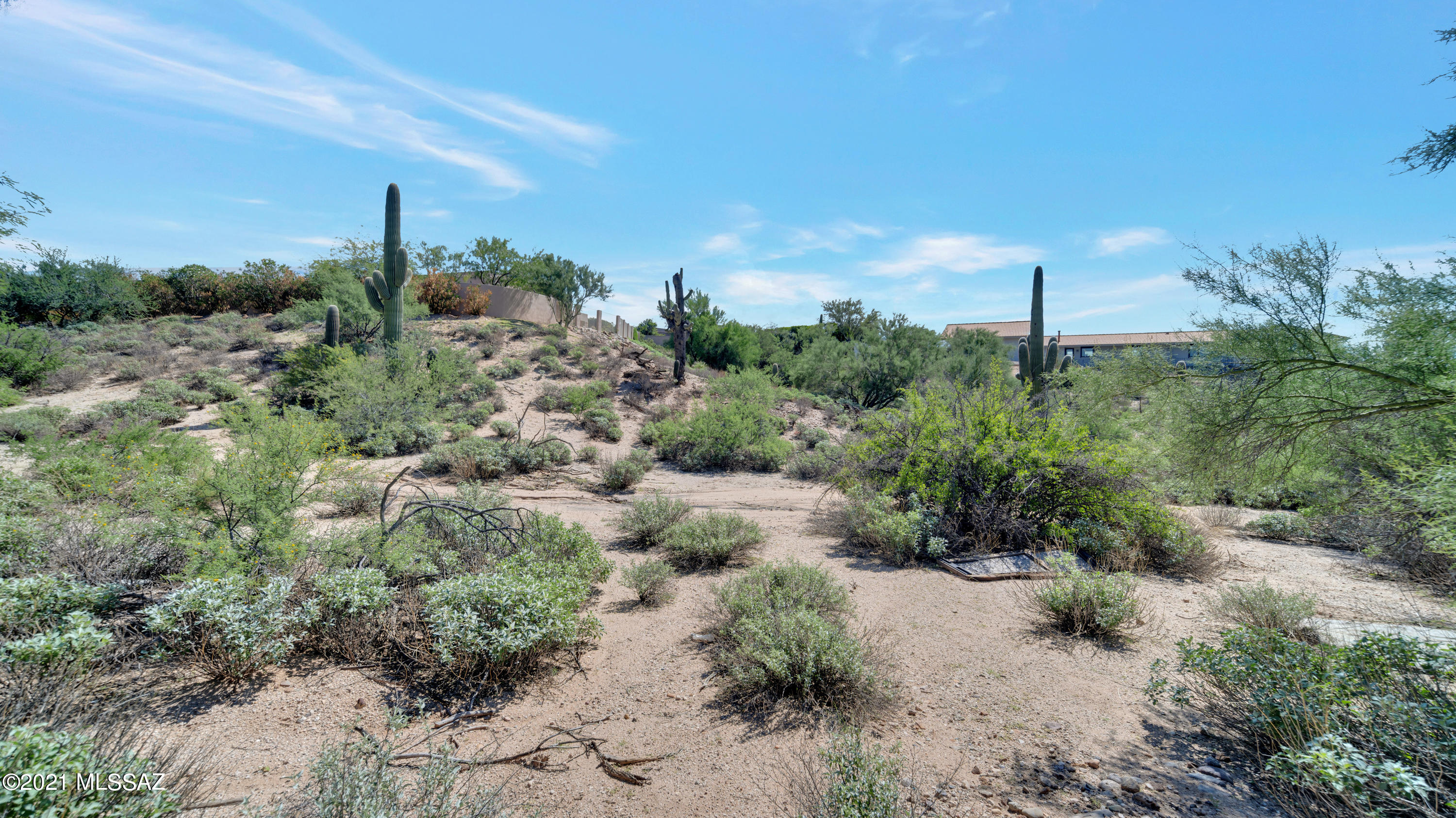 8242 North Shannon Road, Unit 1207 Tucson, AZ 85742 - Photo 10 of 28