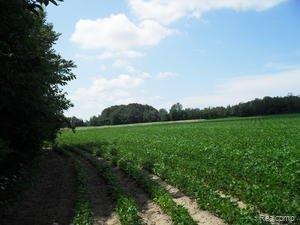 0 Van Dyke Road Port Austin, MI 48467 - Photo 1 of 5 11 Acres.jpg