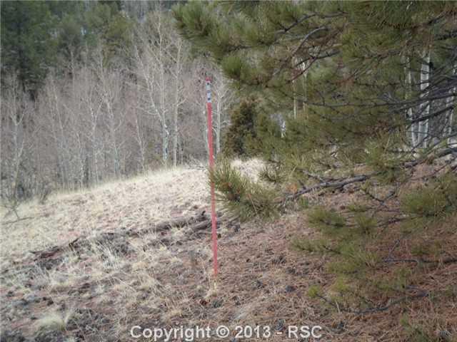340 Princess Road Cripple Creek, CO 80813 - Photo 9 of 10 Corner pin is at this marker