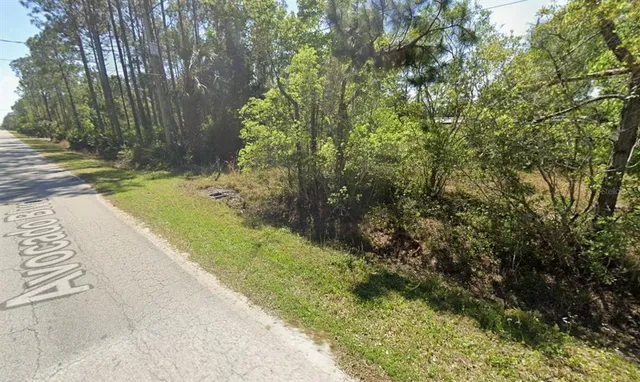 a view of a yard with plants and trees