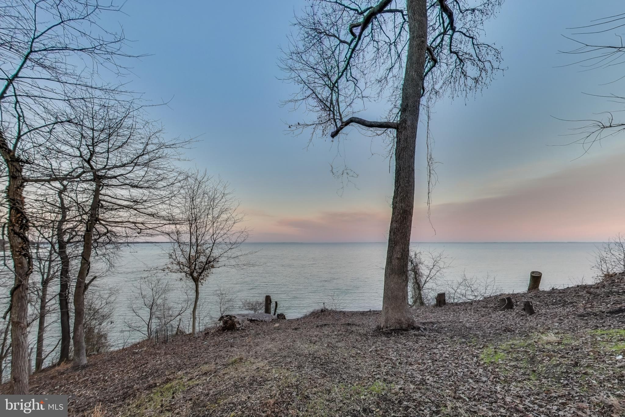 418 Point Mary Circle Tracys Landing, MD 20779 - Photo 6 of 59 a view of a backyard of the house