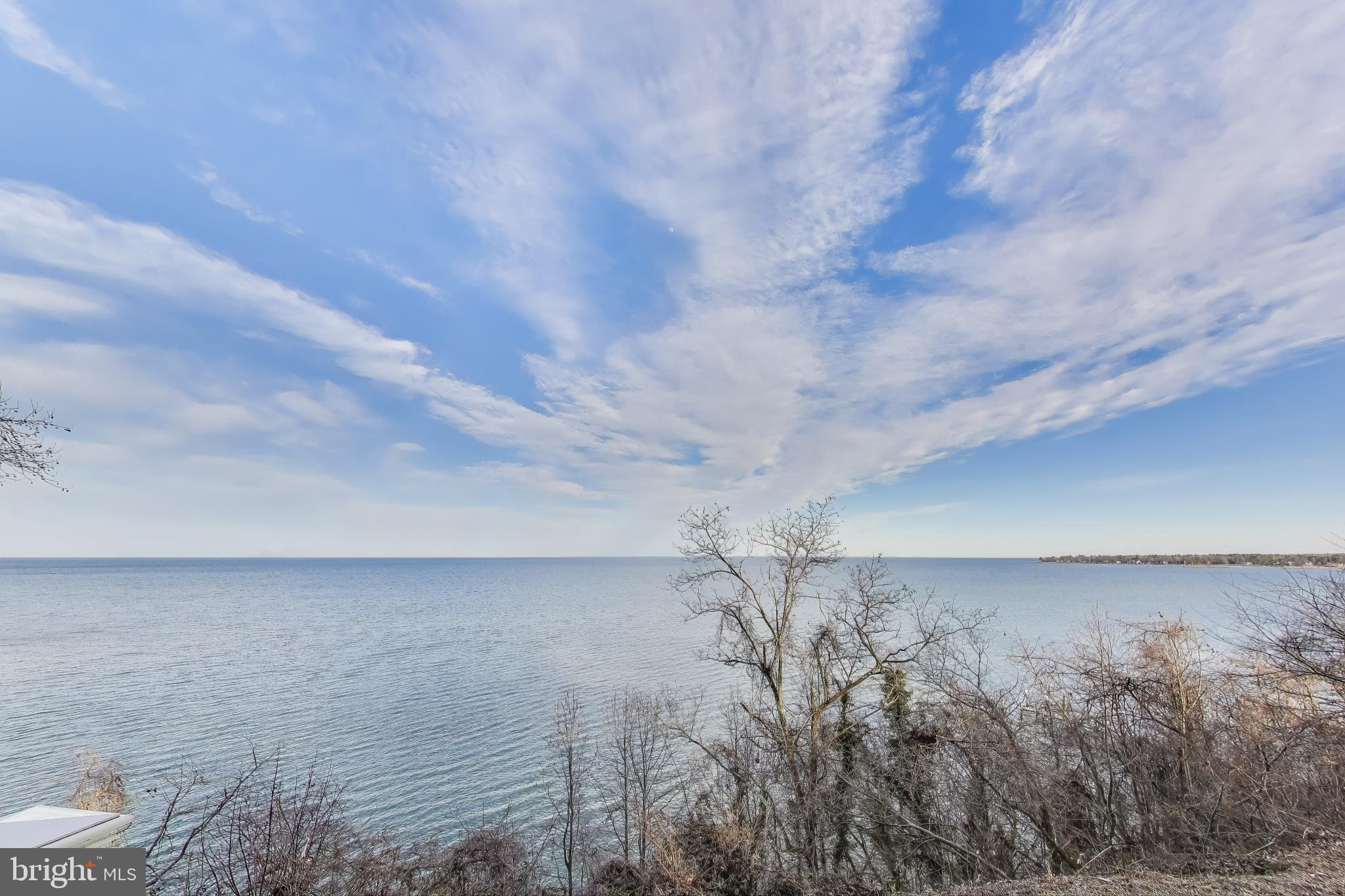418 Point Mary Circle Tracys Landing, MD 20779 - Photo 7 of 59 a close up of a dry plant in a field