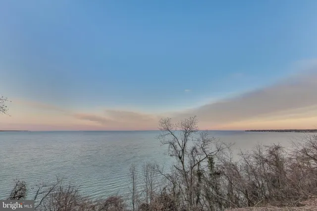 a view of a house with a tree in the background