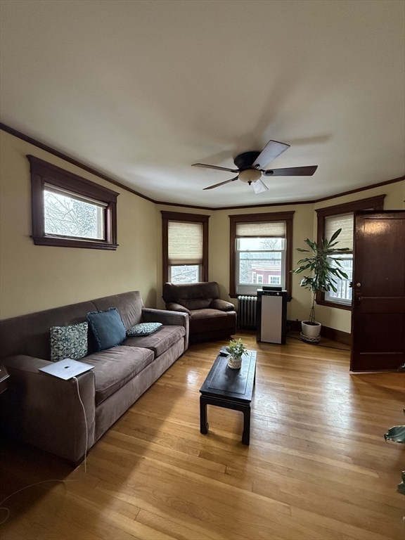 7 View S Avenue, Unit 3 Boston, MA 02130 - Photo 7 of 14 a living room with furniture and a wooden floor