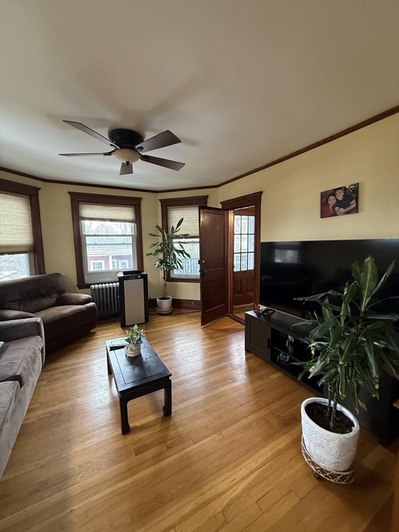 7 View S Avenue, Unit 3 Boston, MA 02130 - Photo 8 of 14 a living room with furniture and a potted plant