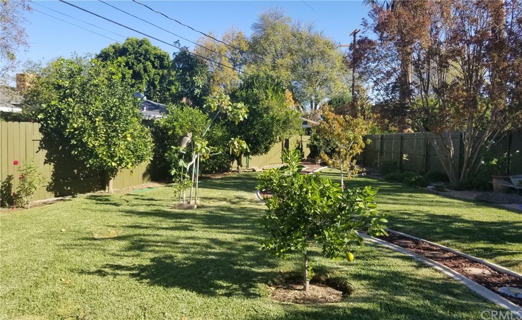 4731 Whipple Road Riverside, CA 92506 - Photo 55 of 66 BACKYARD (View from LOGGIA). There are 7 Fruit Trees in this shot! (8, if you count the Neighbor's Tangerine Tree which spills over w/lots of The Best Tangerines ever, every year!)