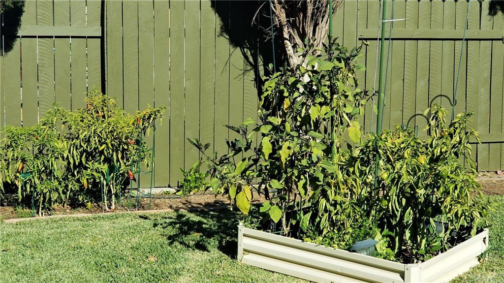 4731 Whipple Road Riverside, CA 92506 - Photo 58 of 66 RAISED Garden Beds - Two like this one! Those are Fresno Peppers & HATCH GREEN Chiles in front of fence.