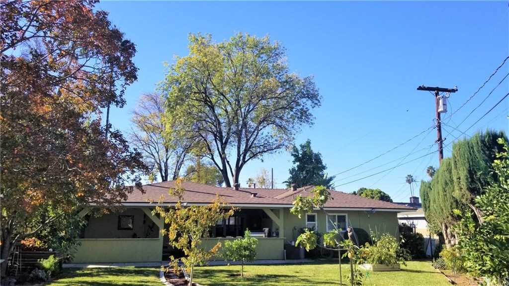 4731 Whipple Road Riverside, CA 92506 - Photo 60 of 66 That 7(?)-Story Tree in Front Yard is a Shamel Ash, and it keeps Front Yard & Front of House shady most of the Day & throughout the Year!