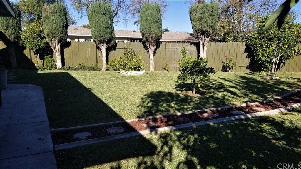 4731 Whipple Road Riverside, CA 92506 - Photo 61 of 66 Between Cypresses #3 & #4, you can see a glimpse of Mt. Baldy (just above Neighbor's roof). Seemed bigger thru the Lens....call it a Peek-a-boo Mountain View.