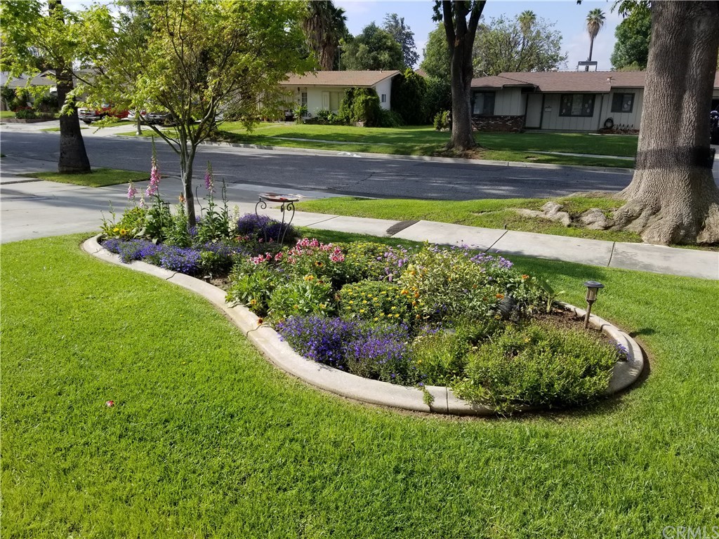 4731 Whipple Road Riverside, CA 92506 - Photo 65 of 66 Flower Garden even contains one of the 10+ Fruit Trees on Grounds! This Photo taken in Spring, but there is actually a (much taller now) Kumquat Tree in there, too!