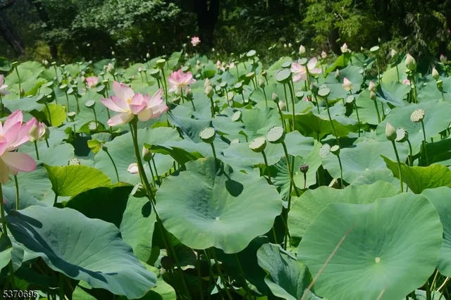 $1,345,000 | 121 Stanton Mountain Road, Lebanon, NJ 08833