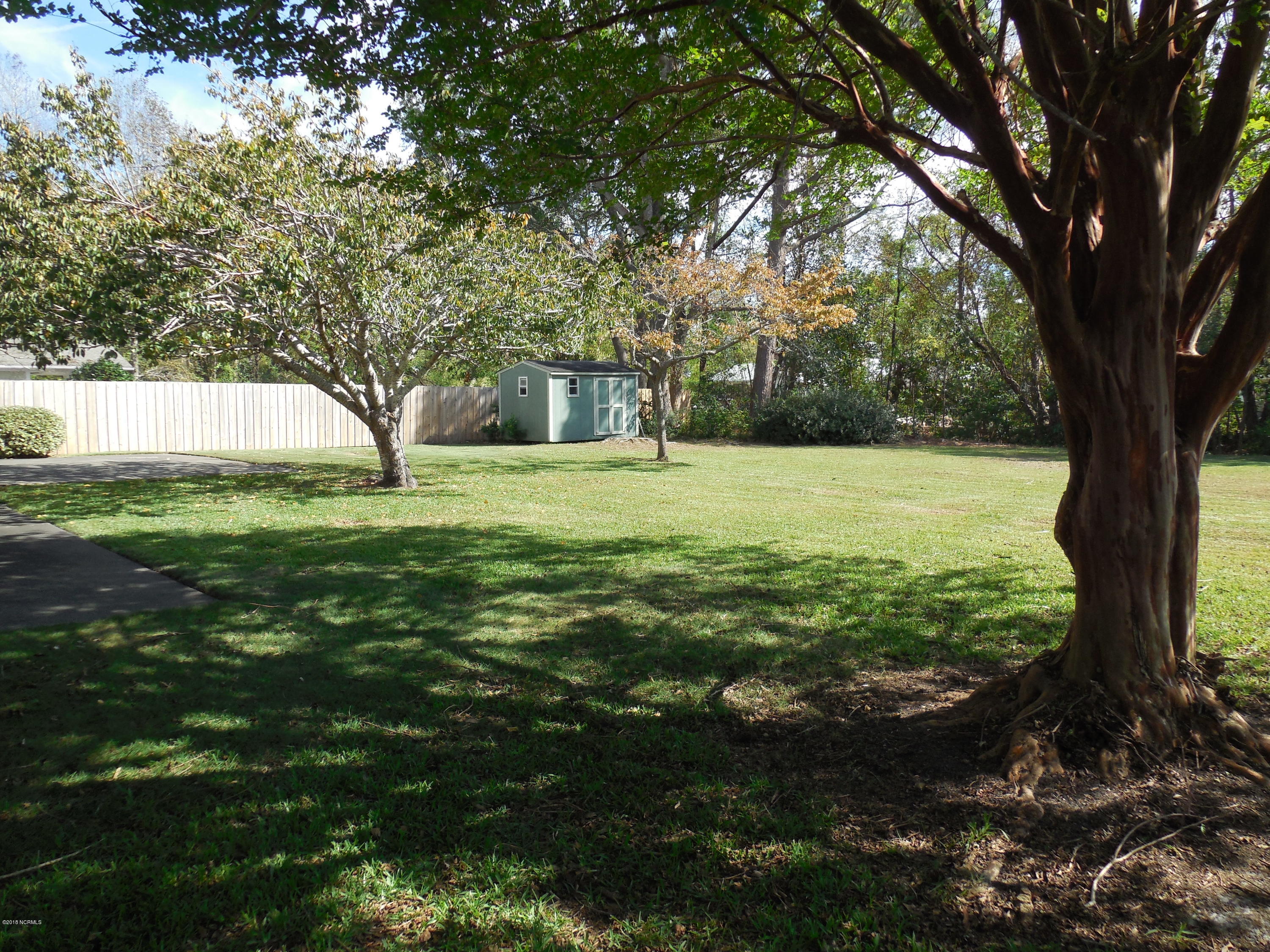 234 Tanbridge Road Wilmington, NC 28405 - Photo 19 of 22 Backyard-shed