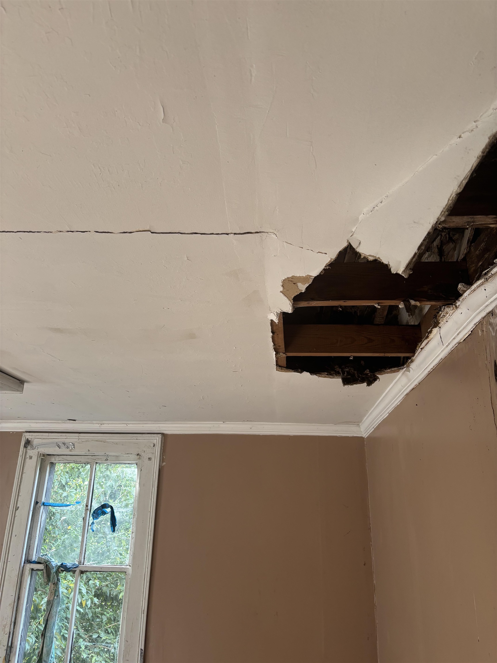 248 Rigby Avenue Spartanburg, SC 29306 - Photo 14 of 16