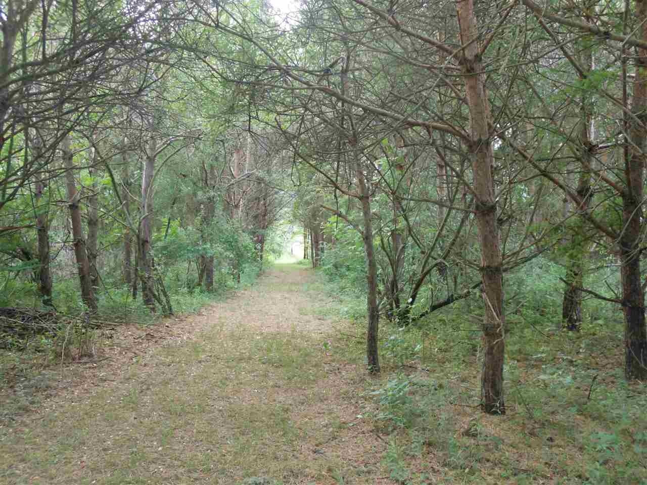 2720 Riley Road Caro, MI 48723 - Photo 22 of 26 50045788-21.JPG
