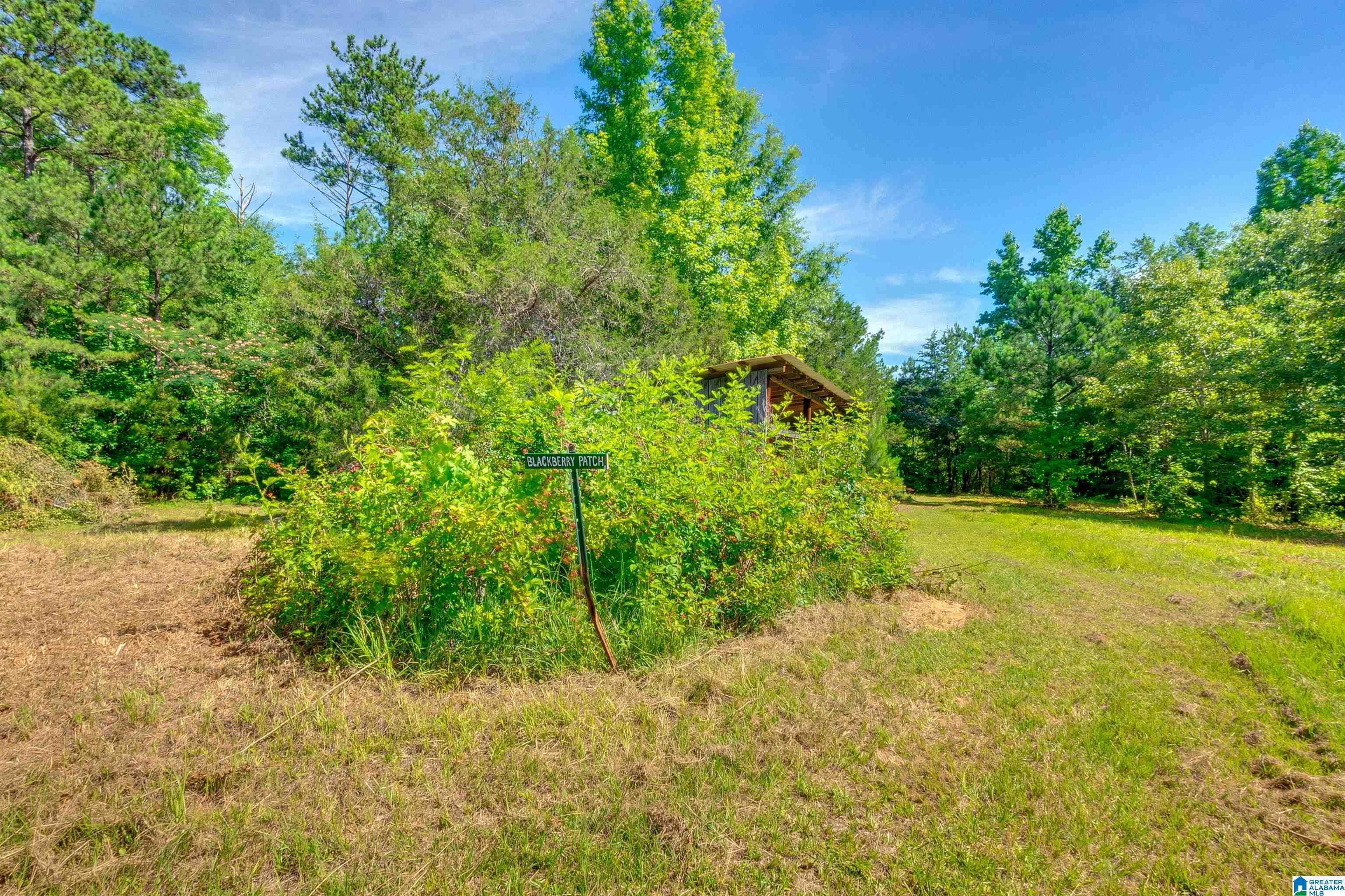 310 County Road 249 Clanton, AL 35046 - Photo 45 of 85