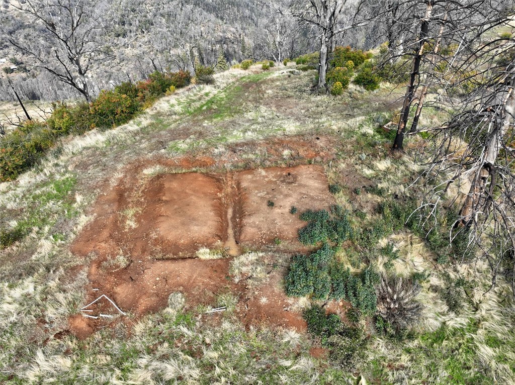 4536 Buckingham Mountain Road Mariposa, CA 95338 - Photo 9 of 15 a backyard of a house with yard and tree