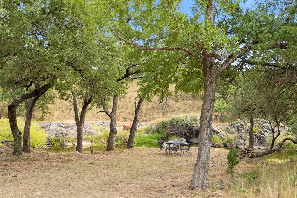 3503 Althaus-Davis Road Fredericksburg, TX 78624 - Photo 42 of 45