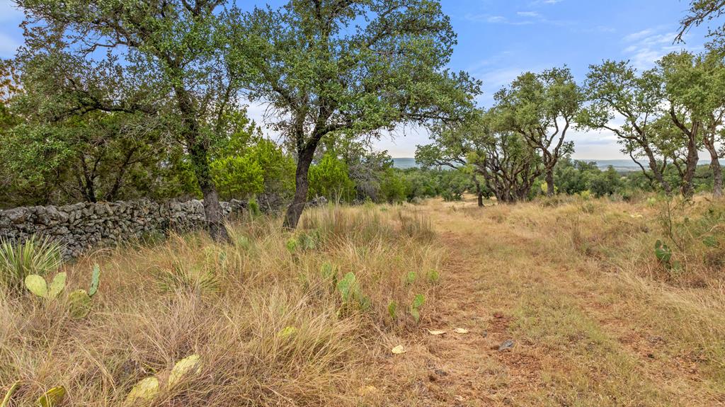 3503 Althaus-Davis Road Fredericksburg, TX 78624 - Photo 43 of 45