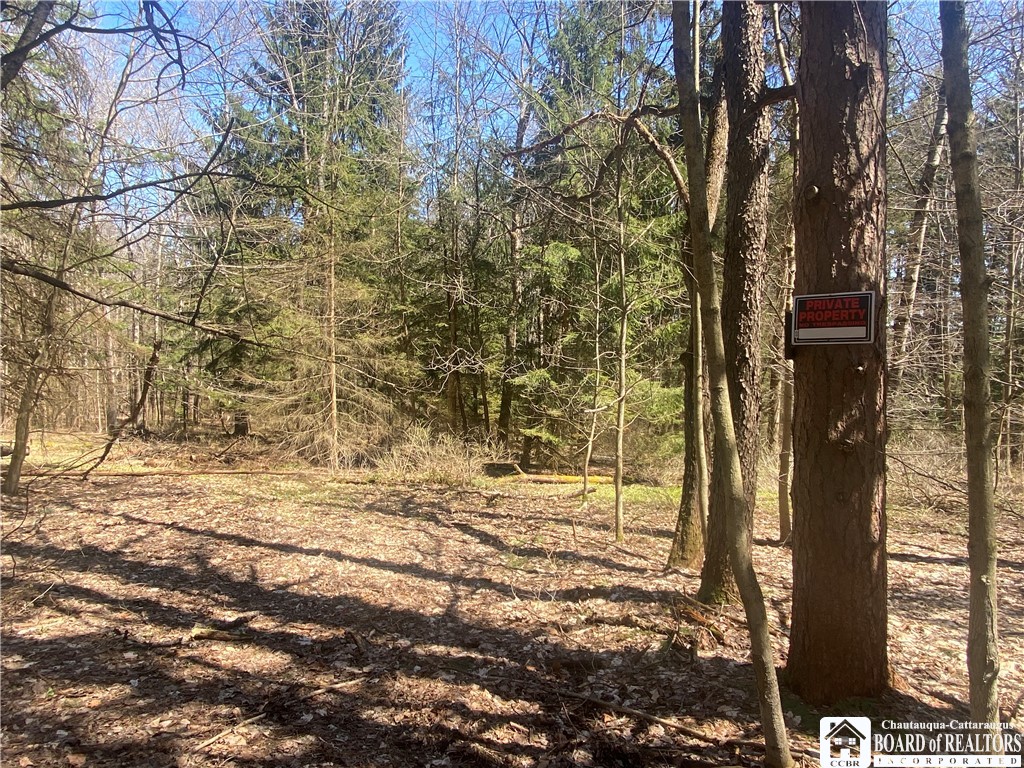 0 Felton Hill Road Machias, NY 14101 - Photo 1 of 1 Gallery Image 1