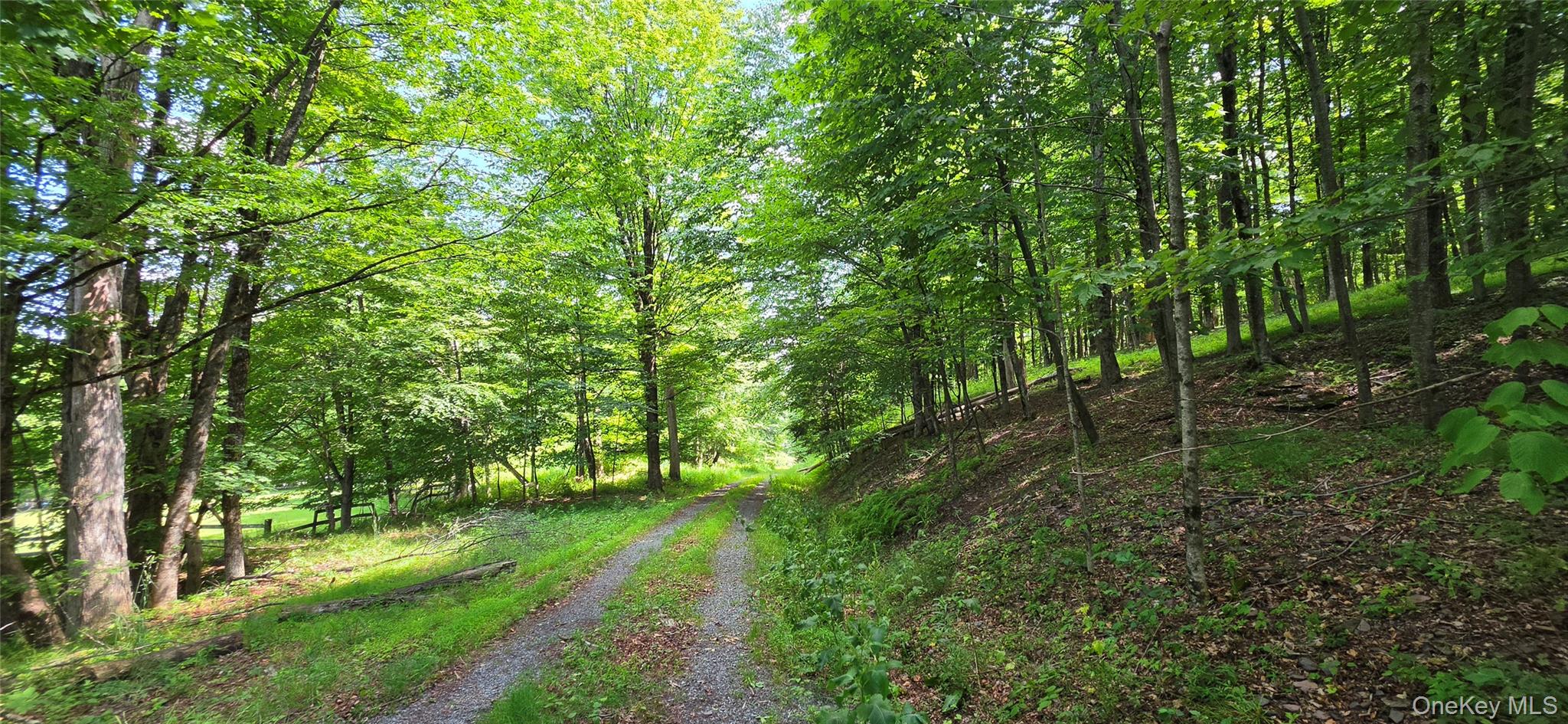 290 Cypert Road Woodbourne, NY 12788 - Photo 14 of 23