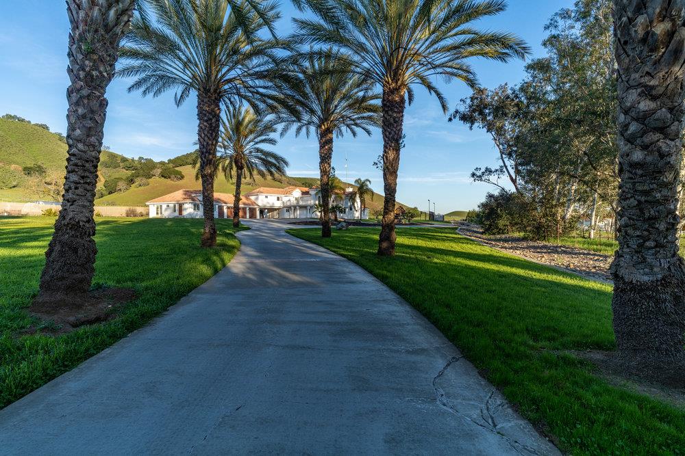 2985 Day Road Gilroy, CA 95020 - Photo 7 of 72 a view of a yard and palm trees