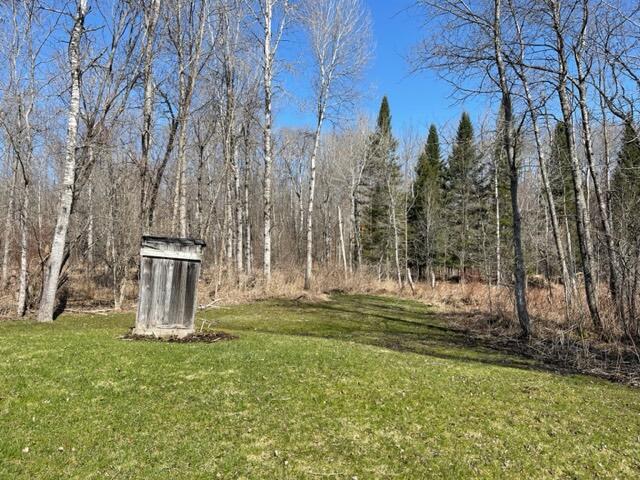 7640 Fulmer Road Wolverine, MI 49799 - Photo 7 of 7 Gallery Image 7