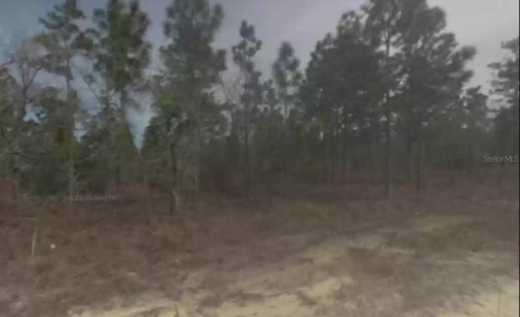 12085 Raschke Road Brooksville, FL 34614 - Photo 1 of 1 Gallery Image 1