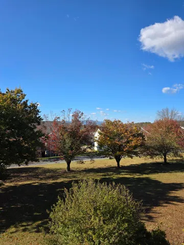 a view of a lake with a yard