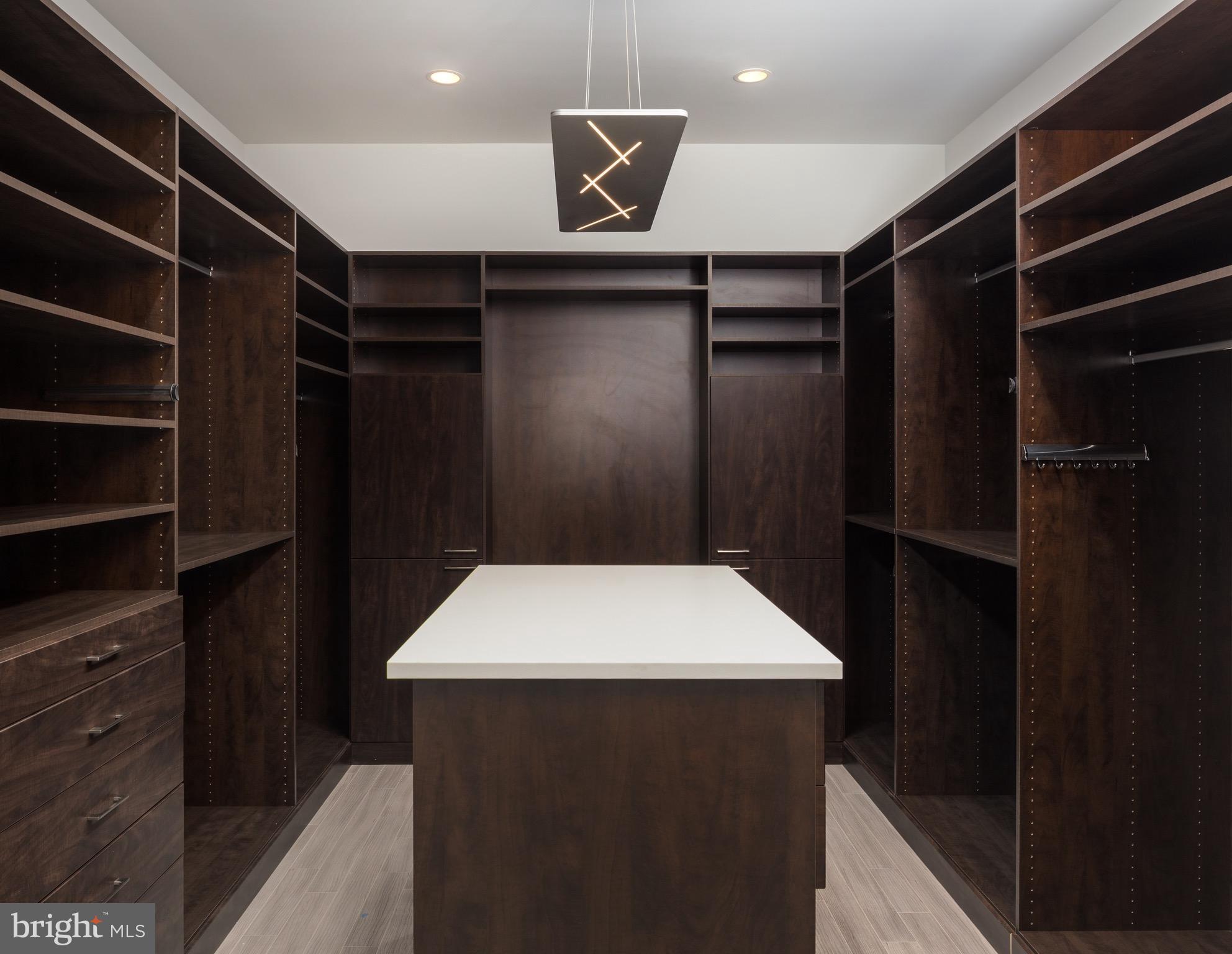 1217 Crest Lane McLean, VA 22101 - Photo 19 of 28 a close view of closet