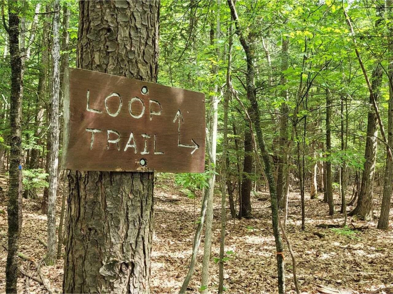 313 North Jefferson Road South Burlington, VT 05403 - Photo 45 of 47