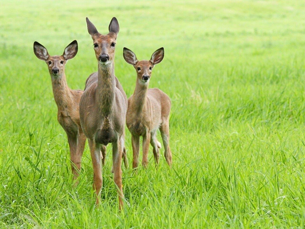 313 North Jefferson Road South Burlington, VT 05403 - Photo 47 of 47