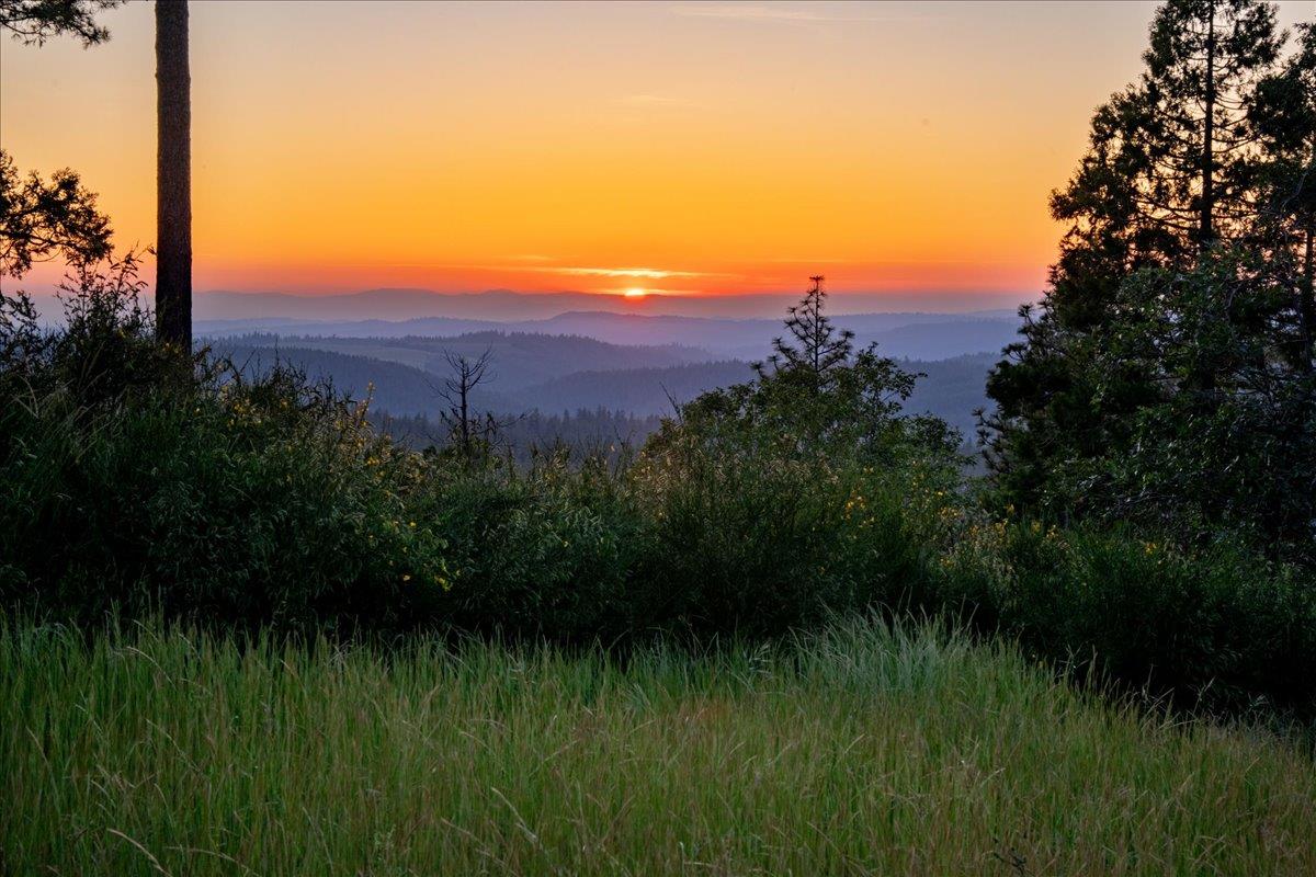 3280 Chipmunk Trail Georgetown, CA 95634 - Photo 5 of 35 Gallery Image 5