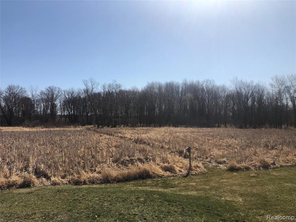 7124 East Pakes Road Crystal, MI 48818 - Photo 83 of 85