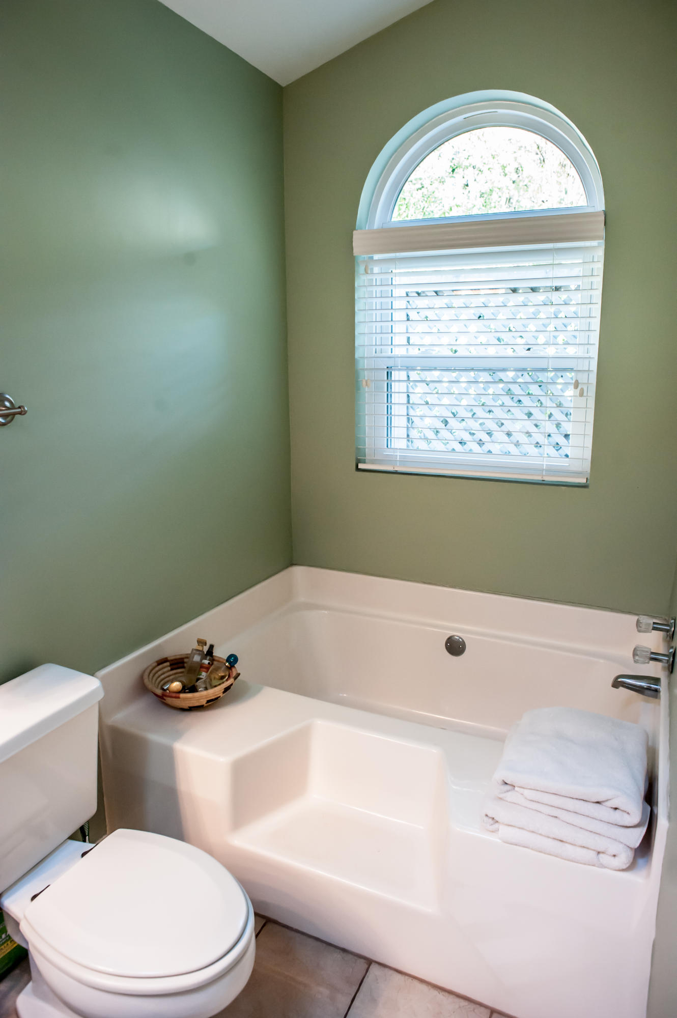 1259 Llewellyn Road Mount Pleasant, SC 29464 - Photo 14 of 24 _DSC9933