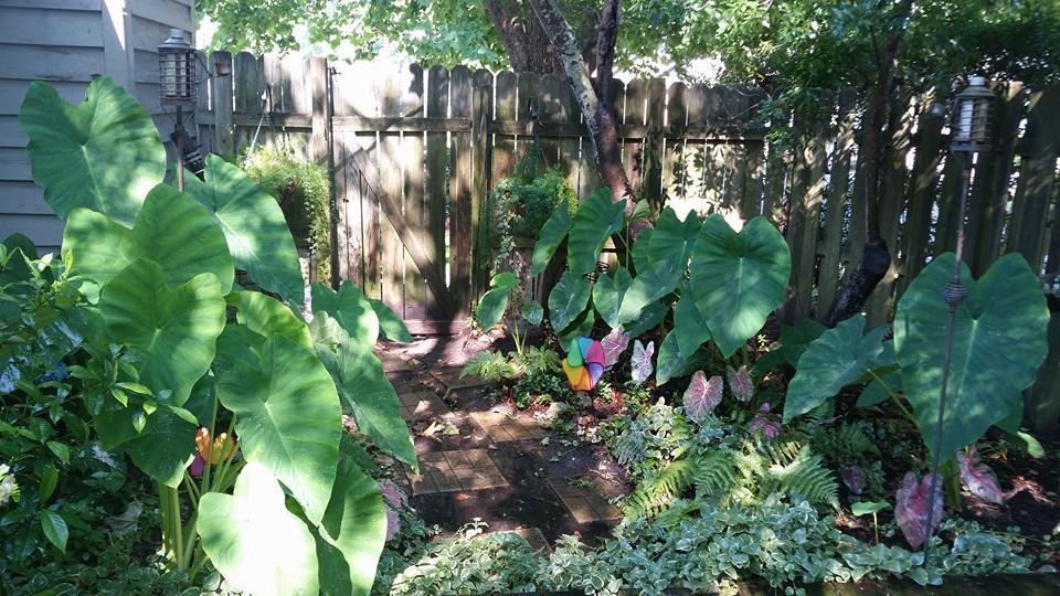1259 Llewellyn Road Mount Pleasant, SC 29464 - Photo 24 of 24 garden