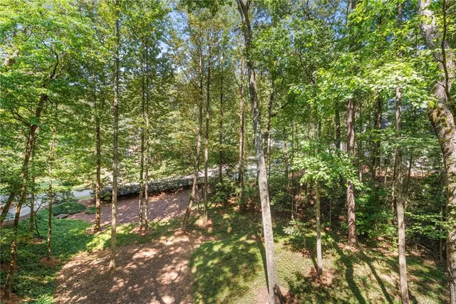 $1,325,000 | 205 Aerie Court, Atlanta, GA 30350