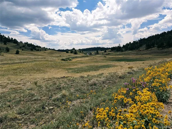 $56,000 | 55 Jay Court, Hartsel, CO 80449