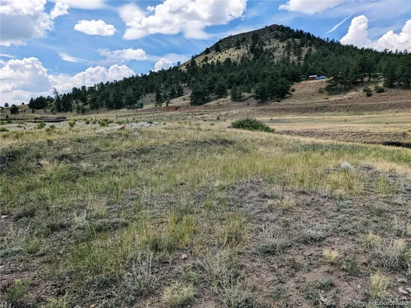 $56,000 | 55 Jay Court, Hartsel, CO 80449