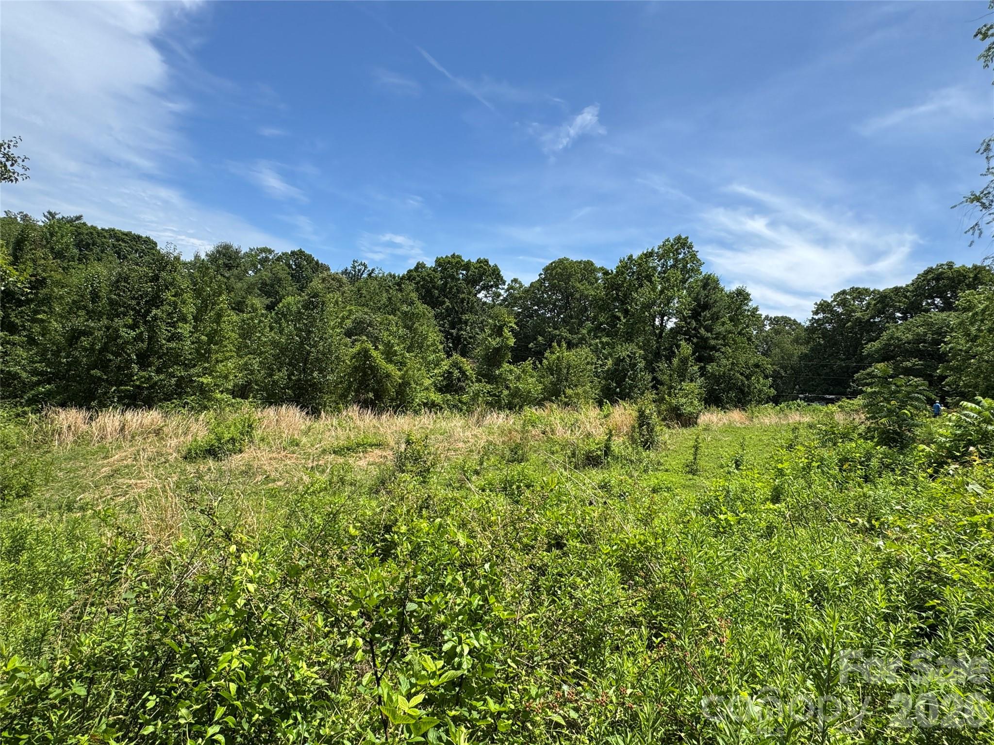 Tbd Duckett Road Candler, NC 28715 - Photo 3 of 17