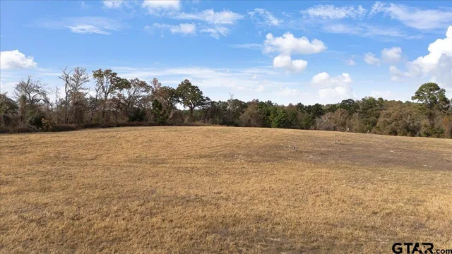 $1,195,000 | 7294 County Road 314 South, Laneville, TX 75667