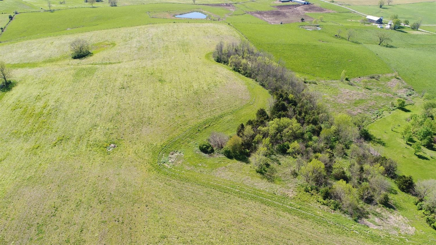 4278 Louisville Road Salvisa, KY 40372 - Photo 6 of 26 Listing Photo