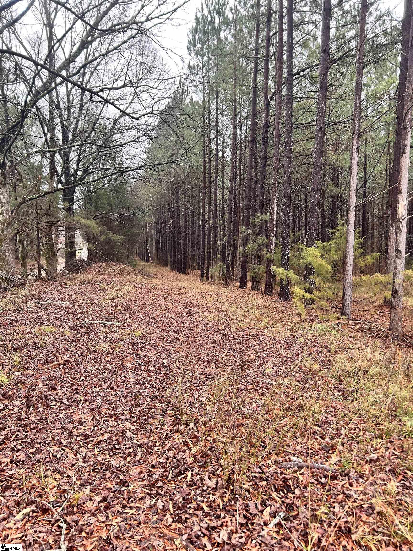 0 Columbia Road Edgefield, SC 29824 - Photo 5 of 9