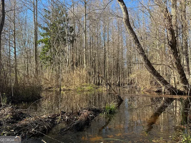 $122,500 | 11 Mt Zion Road, Gordon, AL 36343