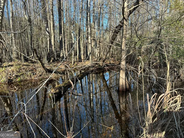 $122,500 | 11 Mt Zion Road, Gordon, AL 36343