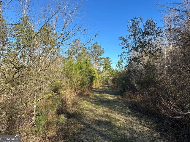 $122,500 | 11 Mt Zion Road, Gordon, AL 36343