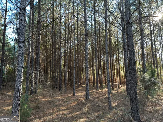 $122,500 | 11 Mt Zion Road, Gordon, AL 36343