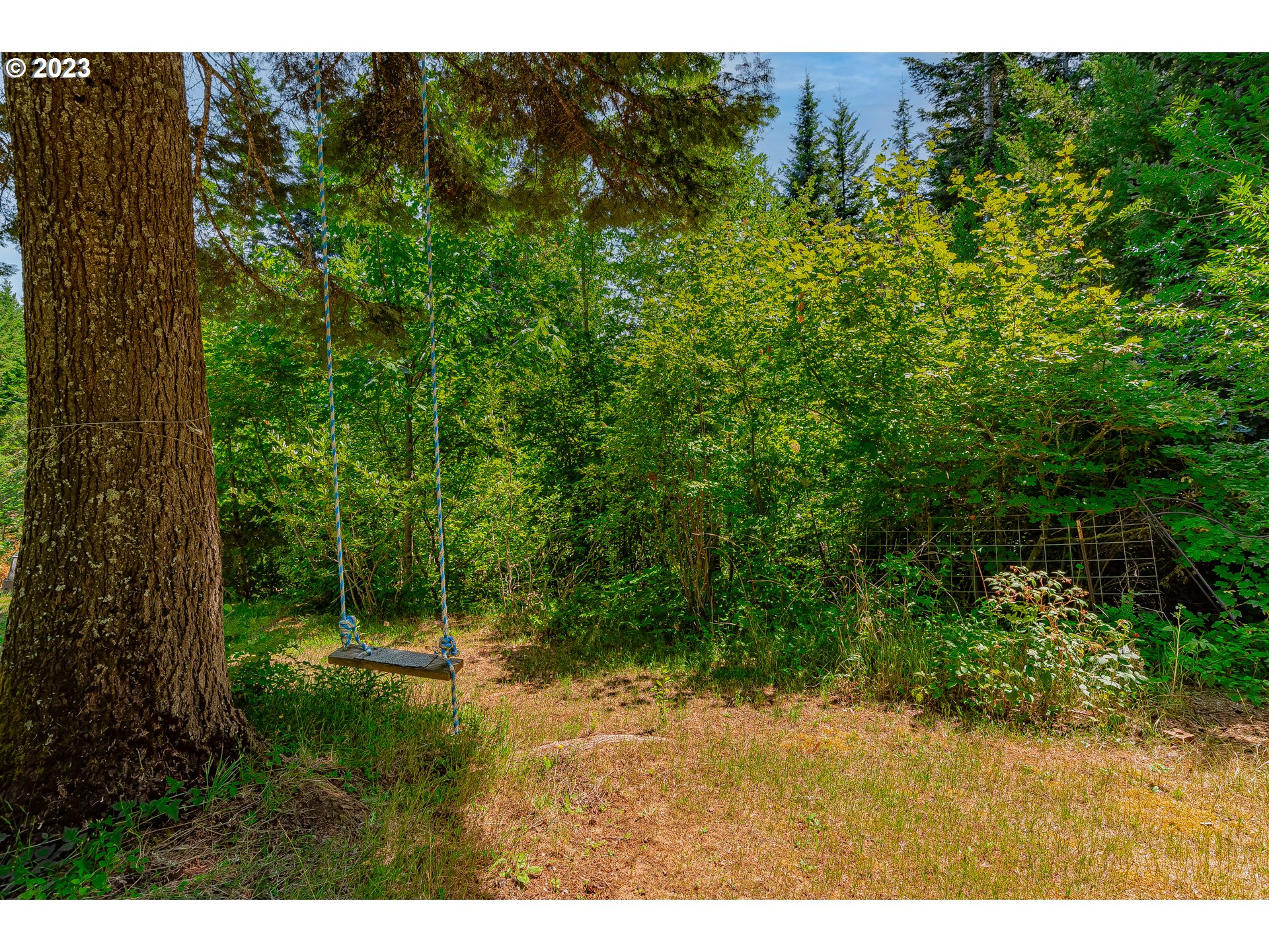 21 Nash Road White Salmon, WA 98672 - Photo 32 of 46 a view of a backyard