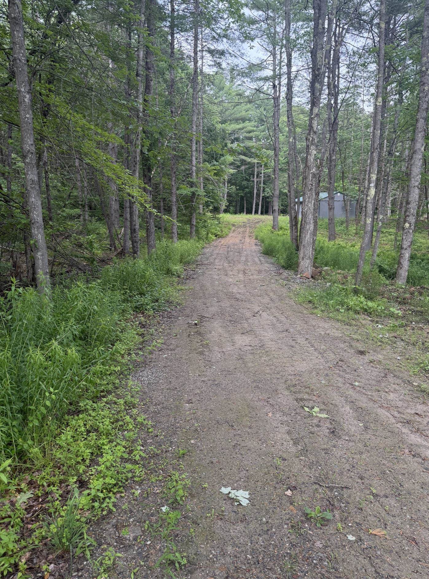 140 Middle Route Gilmanton, NH 03837 - Photo 4 of 6